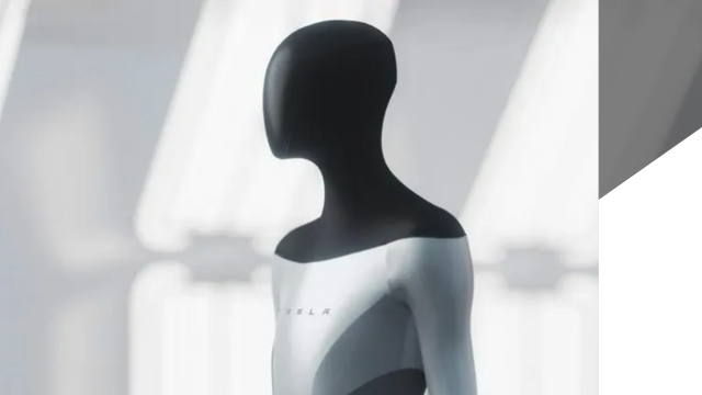 Tesla Humanoid Robot Release Date